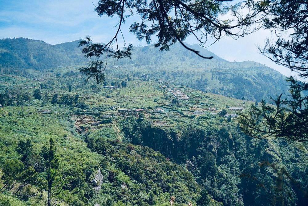 Misty Mountain Lodge Ohiya Buitenkant foto