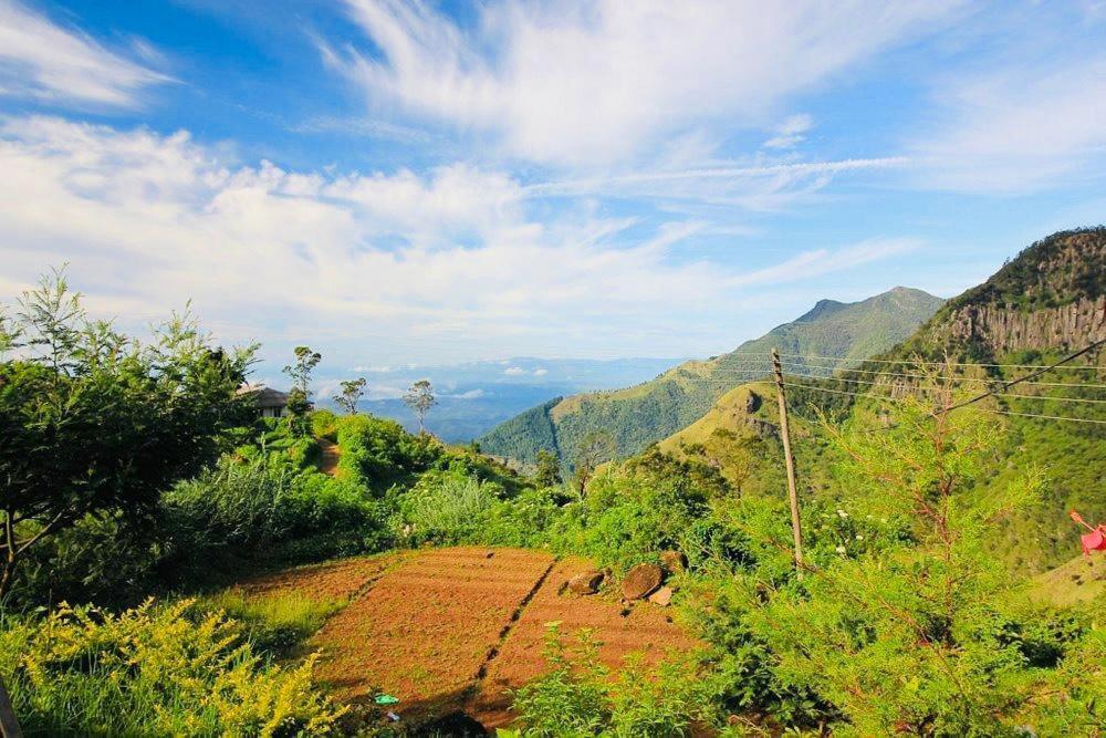 Misty Mountain Lodge Ohiya Buitenkant foto